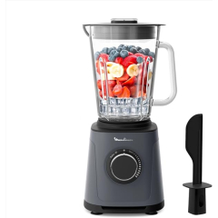 Blender Moulinex Perfectmix Essential LM771BF0 mixage puissant