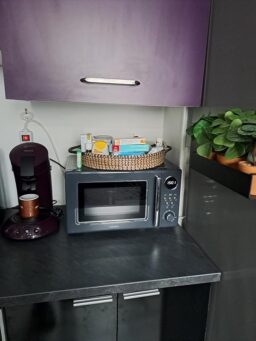 image client 1 Micro ondes Rétro MEDION MD15000