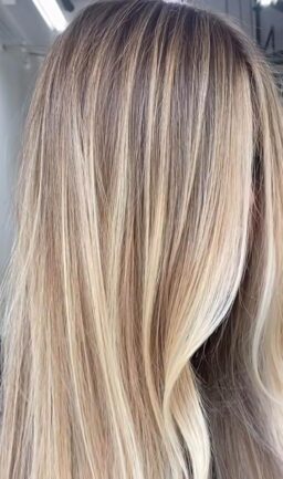 image client 2 Lisseur professionnel Ghd Platinum+ pour cheveux exigeants