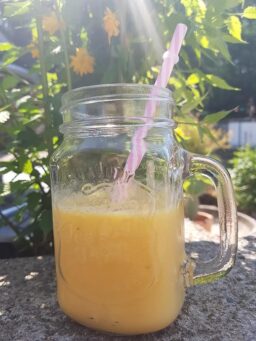 image client 3 Mini mixeur blender VonShef smoothie 1000 w