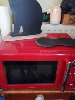 image client 9 Micro ondes Rétro MEDION MD15000