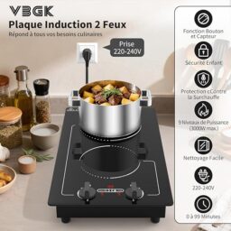 Image du fabricant 3 du VBGK Plaque Induction 2 Feux
