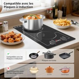 Image du fabricant 4 du VBGK Plaque Induction 2 Feux