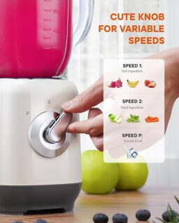 Image du fabricant 5 du Blender SHARDOR inox 1,25L
