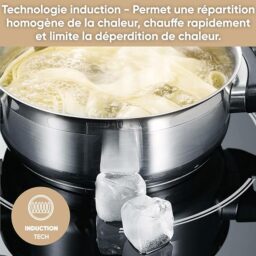 Image du fabricant 5 du SEVERIN Double plaque à induction