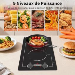 Image du fabricant 5 du VBGK Plaque Induction 2 Feux