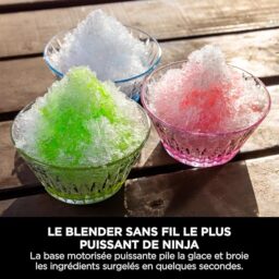 Image du fabricant 6 du Ninja Blast Max Duo Blender