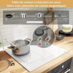 Image du fabricant 7 du Plaque induction 4 feux blanche