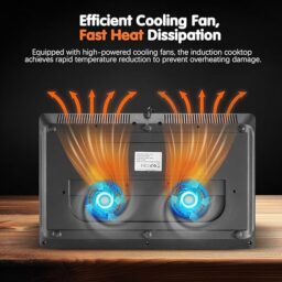 Image du fabricant 9 du Plaque induction 2 feux portable