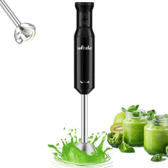 Mixeur plongeant Wancle 600w