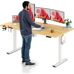 Privé : Bureau Assis Debout Électrique Sanodesk +1880