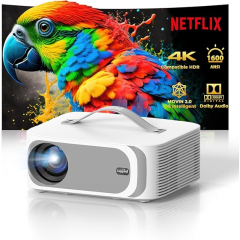 Privé : Vidéoprojecteur 4K Lisowod L61Pro
